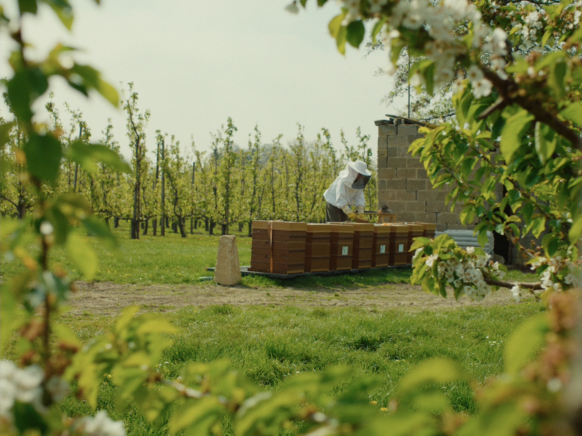 Muis in de Kamer — short film